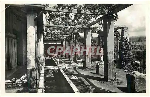 Cartes postales moderne Pompei Maison de Loreto Tiburtino (Nouvelles Fouilles)