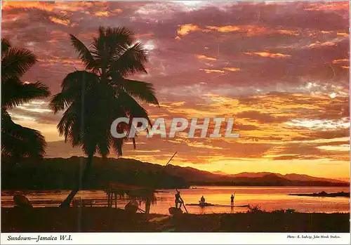 Cartes postales moderne Jamaica Sundown