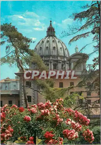 Cartes postales moderne Citta del Vaticano Cupole de St Pierre des Jardins du Vatican