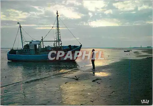 Cartes postales moderne Cote de Beaute Coucher de Soleil sur la Baie de Bonne Anse Bateau