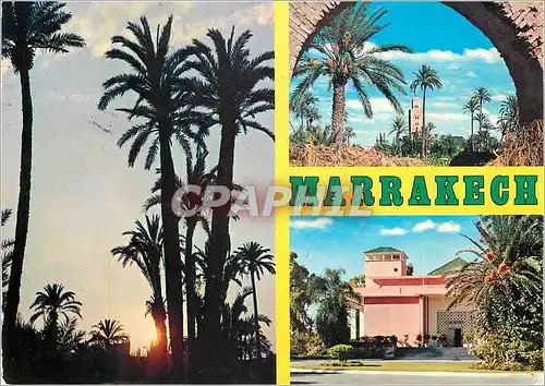 Cartes postales moderne Marrakech