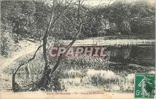 Cartes postales Foret de Meudon Etang de Villebon