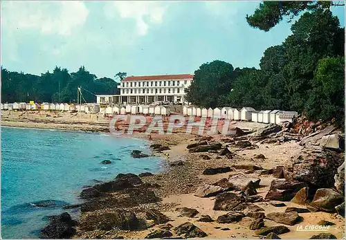 Cartes postales moderne Noirmoutier (Vendee) Bois de la Chaise Plage des Dames