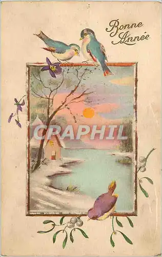 Cartes postales Bonne Annee Oiseaux