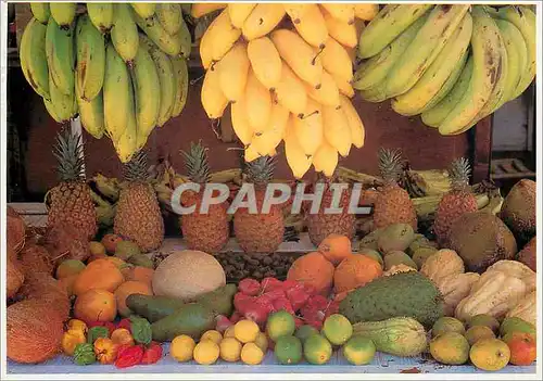 Cartes postales moderne Couleurs de la Martinique Etalage aux Mille Saveurs