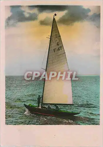 Cartes postales moderne Bateau Voilier F 47