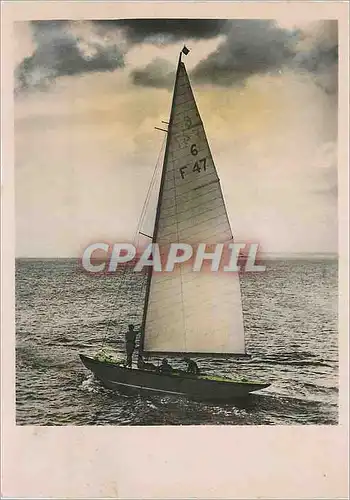 Cartes postales moderne Bateau Voilier F 47