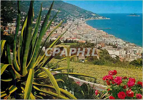 Cartes postales moderne Alassio Riviera dei Fiori Panorama Oriental