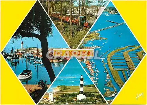 Cartes postales moderne Ile d'Oleron (Charente Maritime) Couleurs et Lumiere de France Le Petit Train de Saint Trojan Le