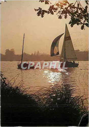 Cartes postales moderne o ces Cloches du Soir dans les Brouillards Flottants que de Contes Charmants leur Musique nous C