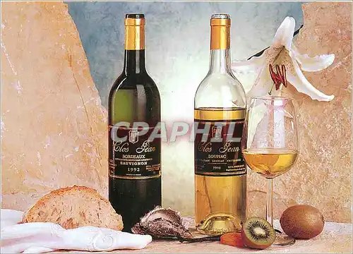 Cartes postales moderne Grand Art de Loupiac Vignobles Bord Clos Jean Loupiac