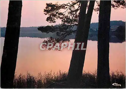 Cartes postales moderne Foret de Troncais (Allier) Coucher de Soleil sur l'Etang de St Bonnet de Troncais