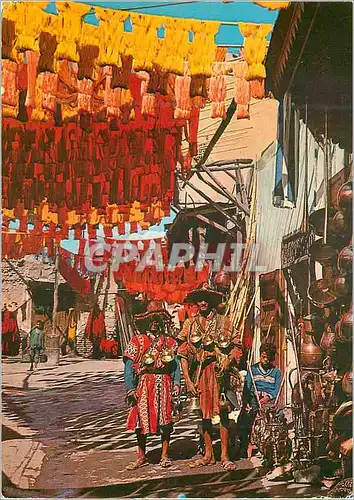 Cartes postales moderne Marrakech Teinturiers