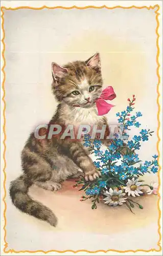 Cartes postales moderne Fantaisie Chat Chaton