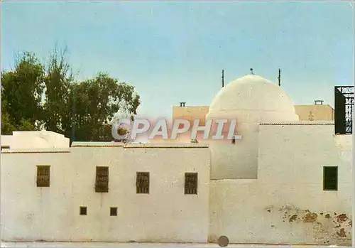 Cartes postales moderne Djerba Midoun