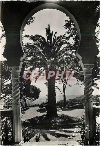 Cartes postales moderne Bouzareah Alger Dar el Aalia Restaurant Salon de The