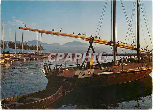 Cartes postales moderne Lausanne Ouchy la Vaudoise et les Alpes de Savoie  Bateaux