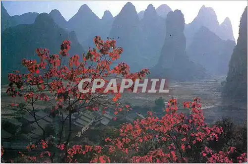 Cartes postales moderne Red Leaves on Perilous Peaks