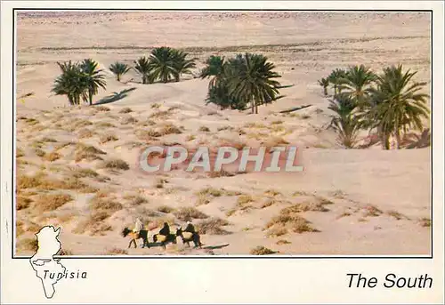 Cartes postales moderne Tunisie Le Grand Sud