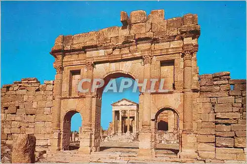 Cartes postales moderne Tunisie Sbeita Le Forum