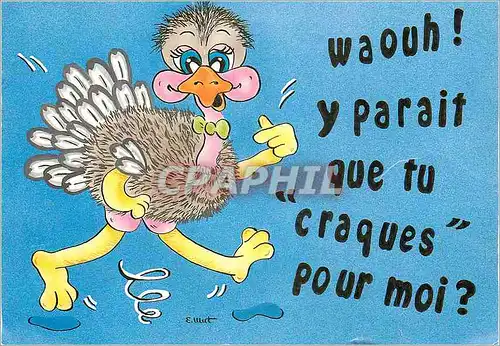 Cartes postales moderne Waouh Y Parait que tu Craques pour moi Autruche