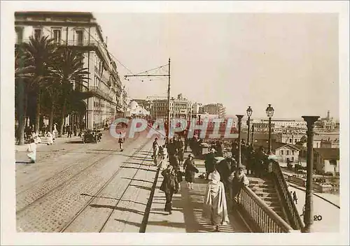 Cartes postales moderne Algerie Alger