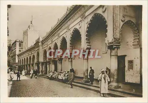 Cartes postales moderne Algerie Alger