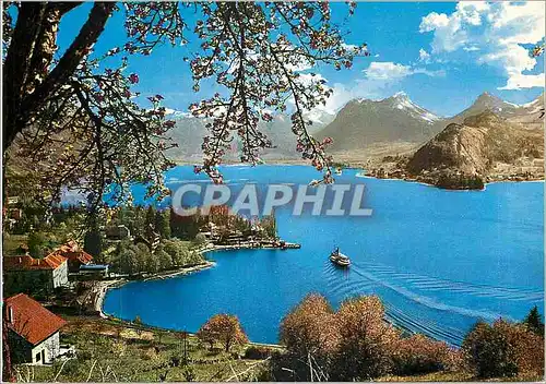 Cartes postales moderne Talloires et le Petit Lac