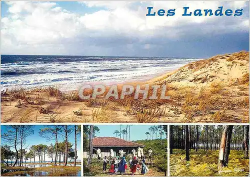 Cartes postales moderne Les Landes