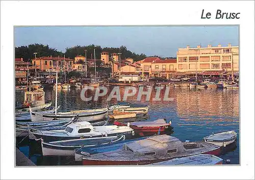 Cartes postales moderne Le Brusc (Var) Bateaux