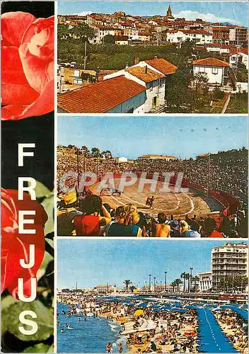 Cartes postales moderne Souvenir de Frejus Corrida