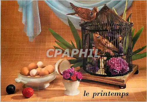 Cartes postales moderne Le Printemps