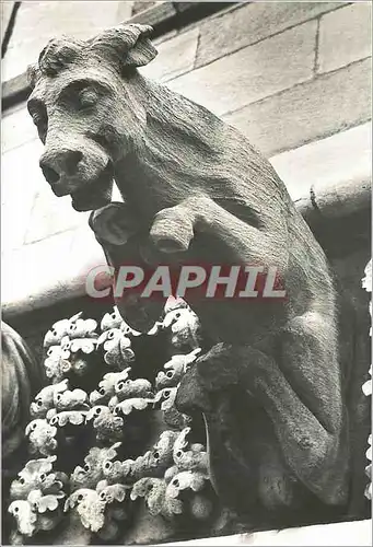 Cartes postales moderne Eglise Notre Dame de Dijon Facade Gargouilles Realisees de 1866 a 1881 par le Sculpteur LagouleL