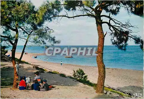 Cartes postales moderne Ile de Re (Charente Maritime) Plage de Trousse Chemise