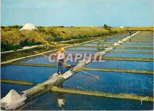 Cartes postales moderne Couleurs et Lumiere de France sur la Cote Atlantique