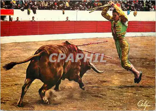 Cartes postales moderne Giron une Belle Paire de Banderilles Taureau Corrida Torero Giron