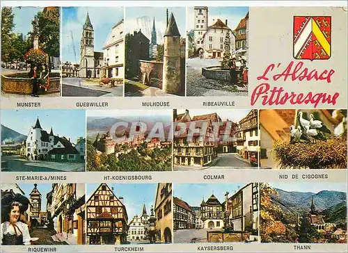 Cartes postales moderne L'Alsace Pittoresque Munster Guebwiller Mulhouse Ribeauville Colmar Nid de cigognes