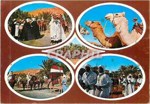 Cartes postales moderne Sud Algerien Fete du Mehari Mars 1983