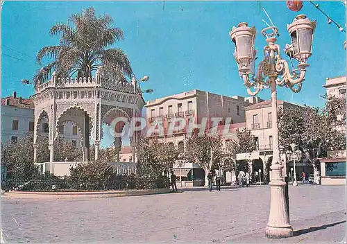 Cartes postales moderne Blida Ville des Roses La Placette