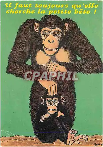 Cartes postales moderne Il faut toujours qu'elle cherche la Petite Bete Singe