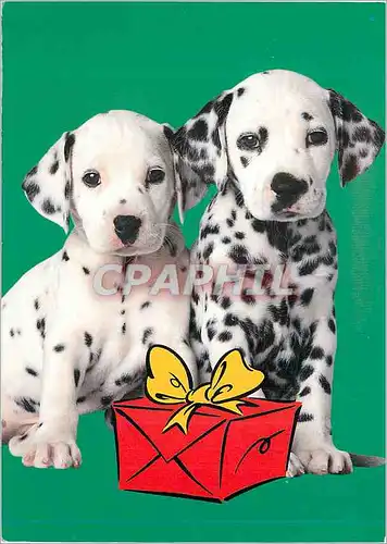 Cartes postales moderne Disney Chromovague Walt Disney Dalmatien