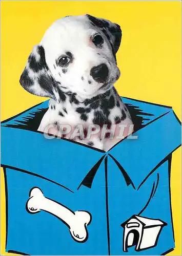 Cartes postales moderne Disney Chromovague Walt Disney Dalmatien