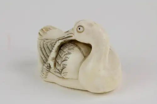 Netsuke, Japan, um 1900, Bein, Ente, schwarz abgesetzt, signiert, Gebrauchsspuren, L: 5 cm.