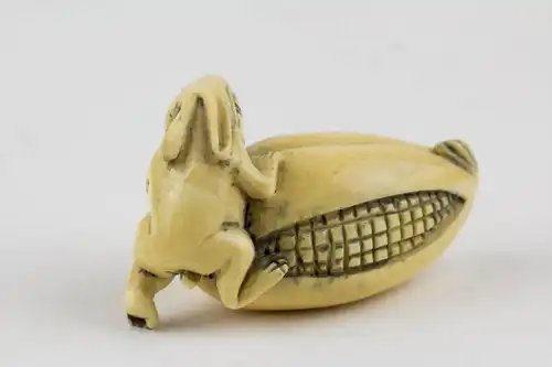 Netsuke, Japan, Meiji Zeit, Bein, Hase auf Maiskolben. L: 5 cm.