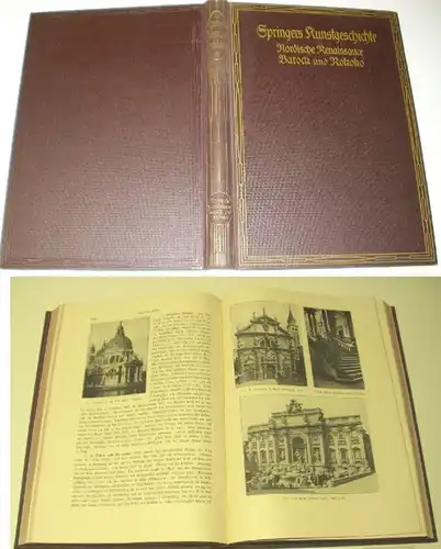 Springers Kunstgeschichte Nordische Renaissance Barock und Rokoko