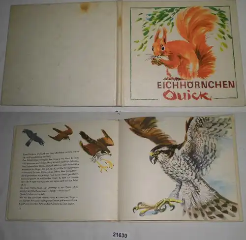 Die Geschichte vom Eichhörnchen Quick