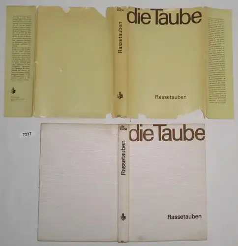 die Taube - Rassetauben