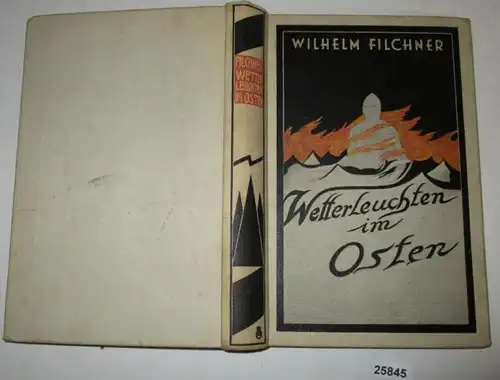 Wetterleuchten im Osten - Erlebnisse eines diplomatischen Geheimagenten