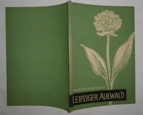 Landschaftsschutzgebiet Leipziger Auewald