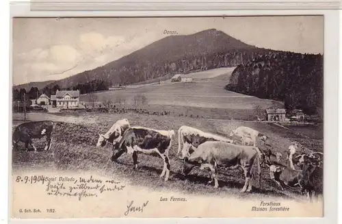 50907 Ak Donon Hotel Velleda, Les Fermes, Forsthaus 1904